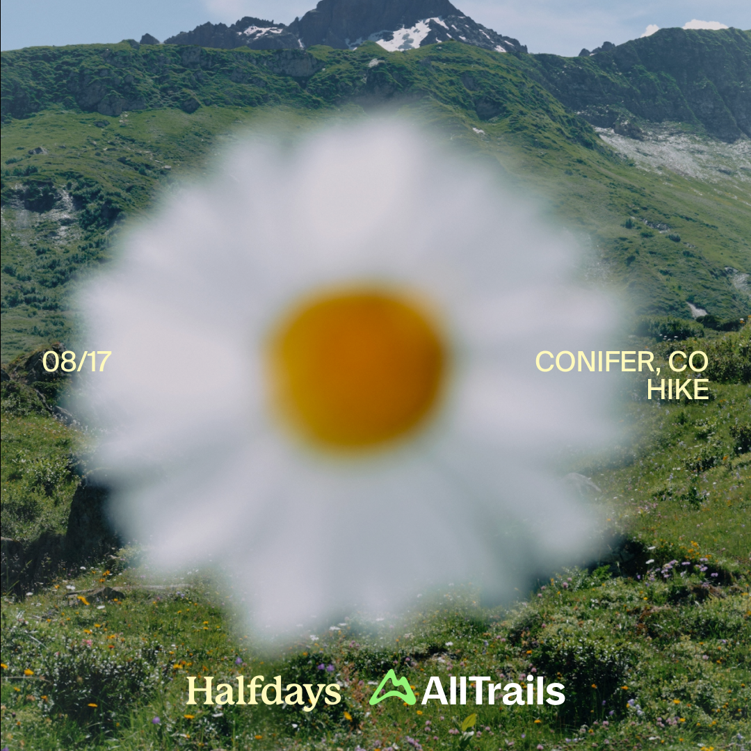 CONIFER HIKE ALLTRAILS