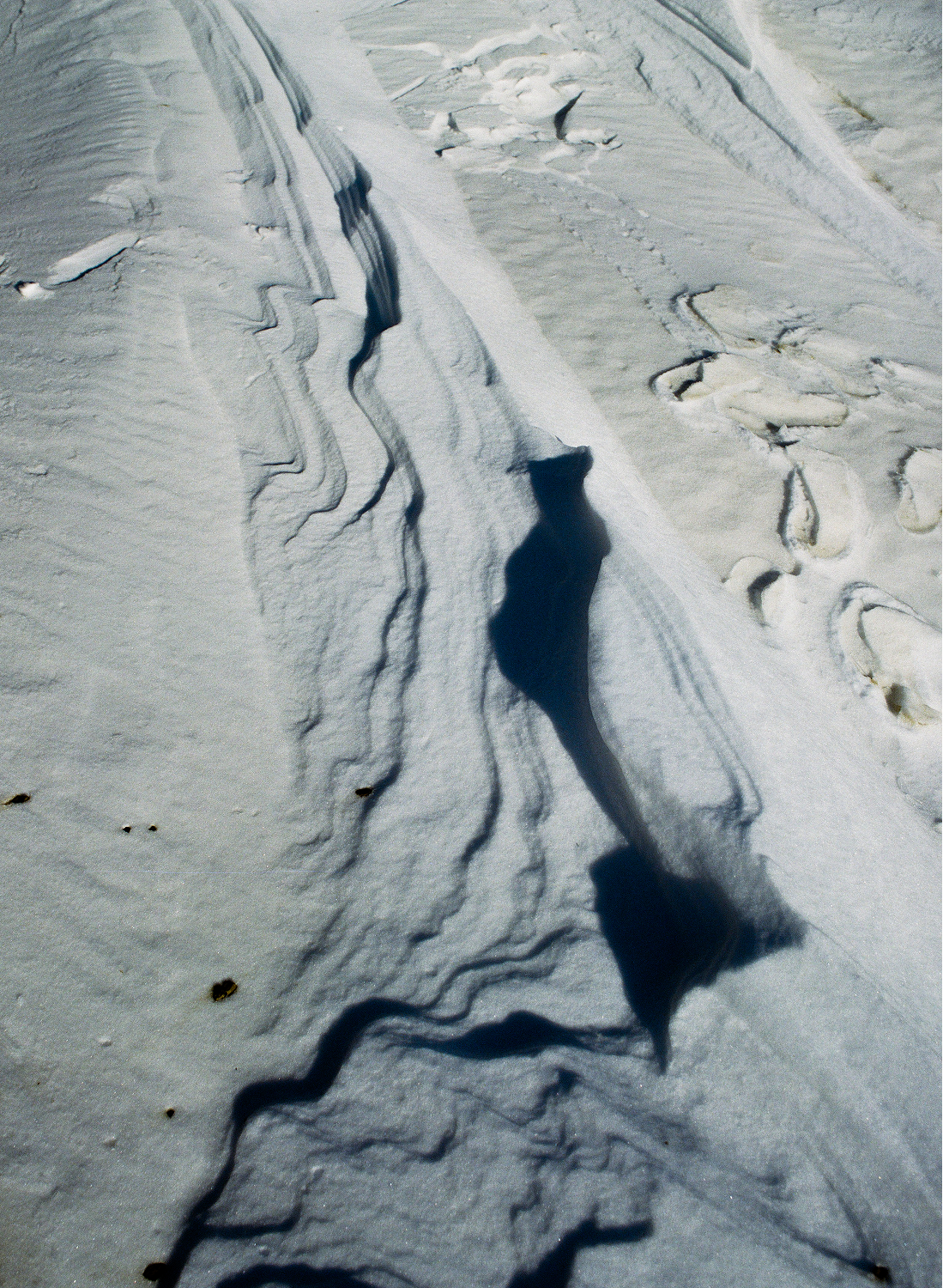 Halfdays x Friends of <br>Berthoud Pass <br>Backcountry + Avalanche Clinic